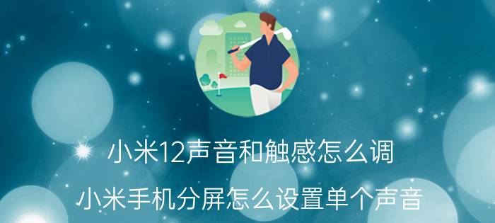 小米12声音和触感怎么调 小米手机分屏怎么设置单个声音？